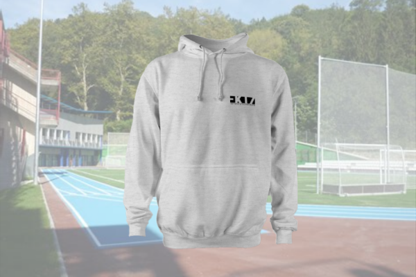 Sudadera EKTZ gris